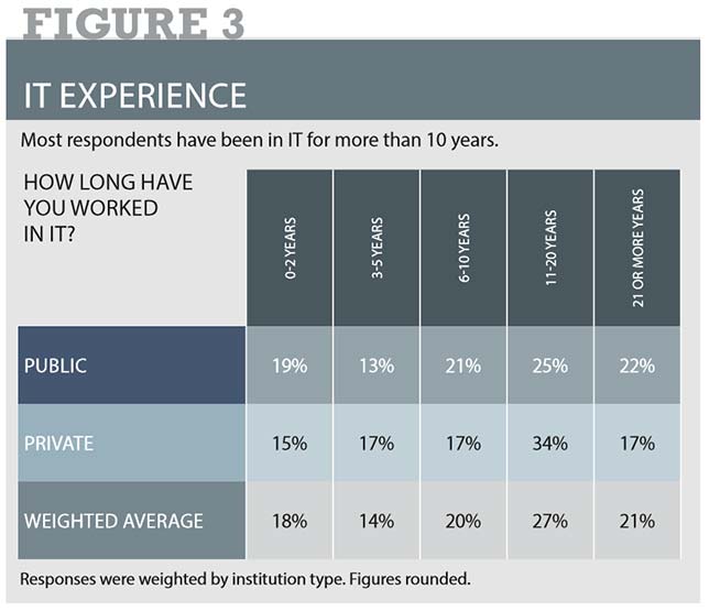 Experience of IT professionals in K-12 education